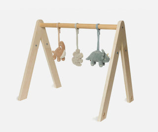 Jollein Babygym Speeltjes - Roarsome